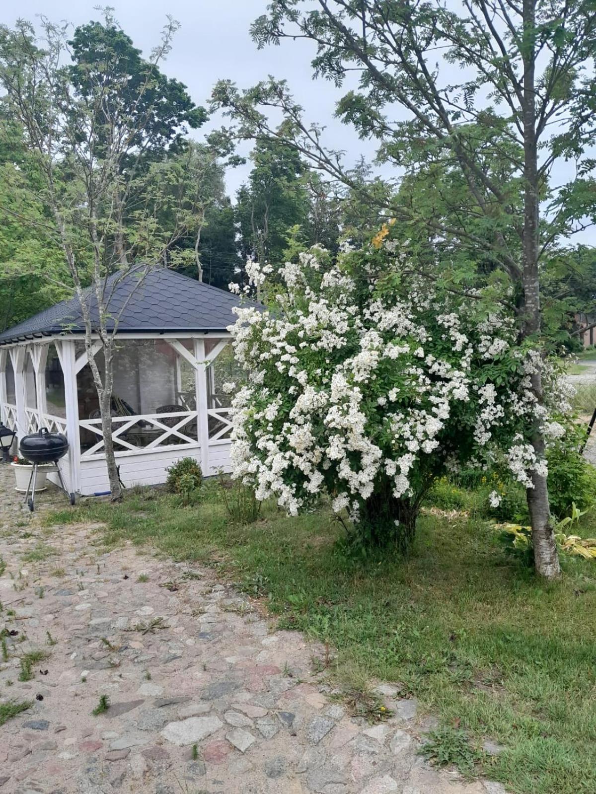 Dom Nad Morzem Ludwikowo Villa Skrzeszewo  Ngoại thất bức ảnh